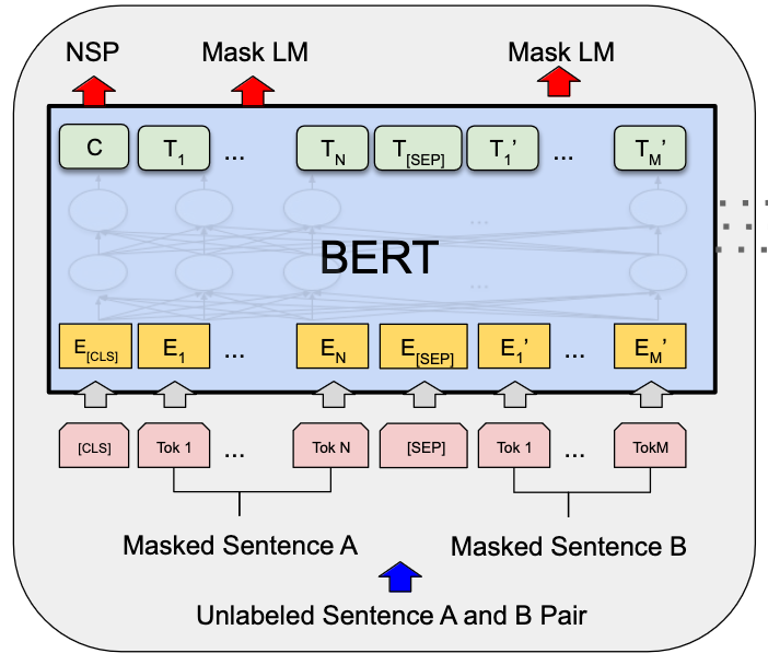 BERT Architecture