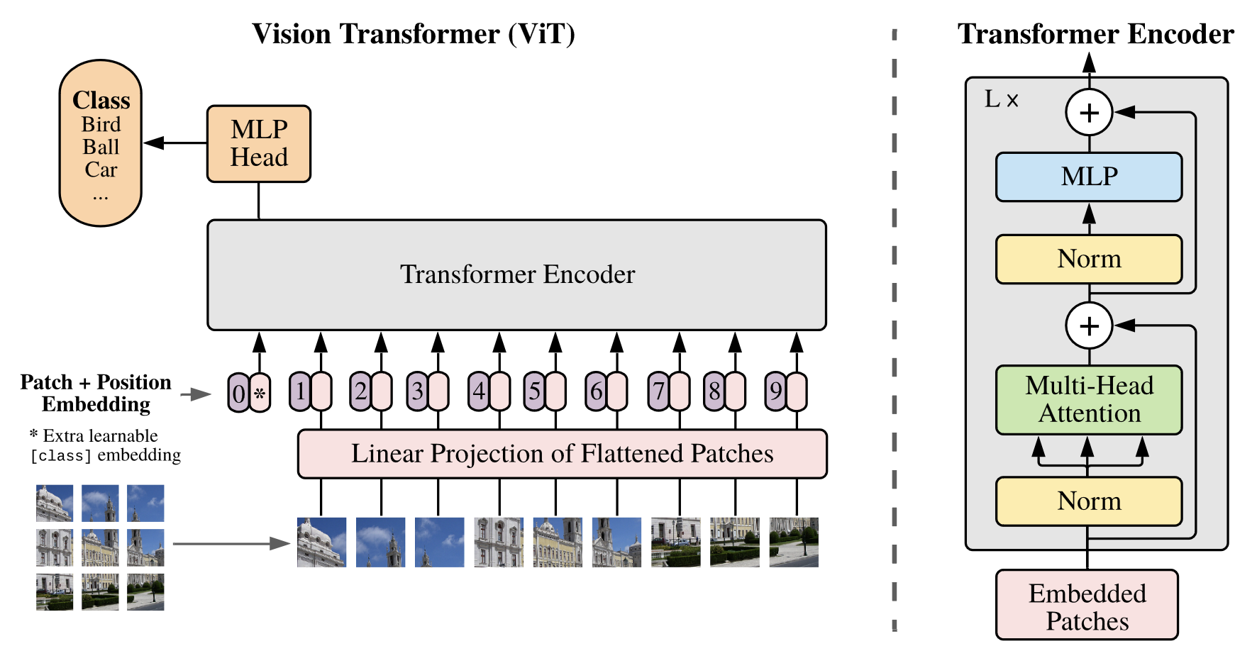 Vision Transformer Architecture